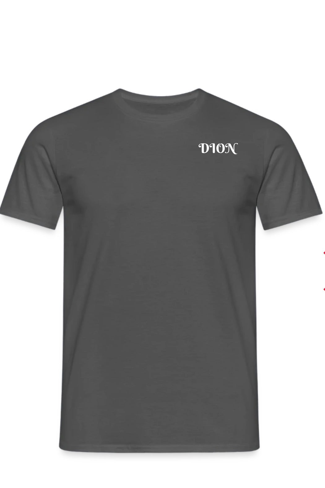 Dion t-shirt